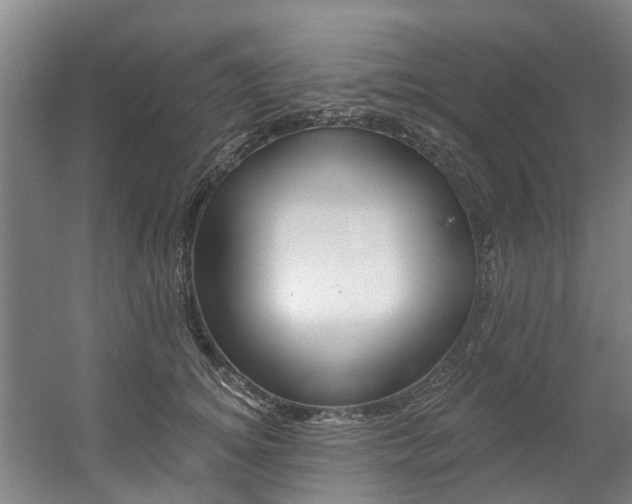 X0000057570756200509160836