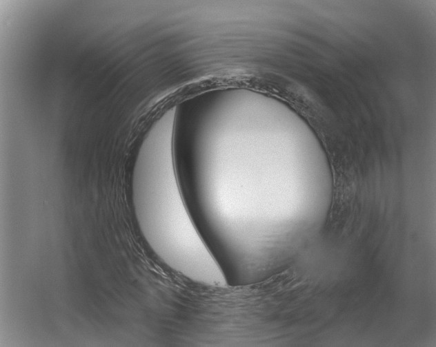 X0000057570773200509160835