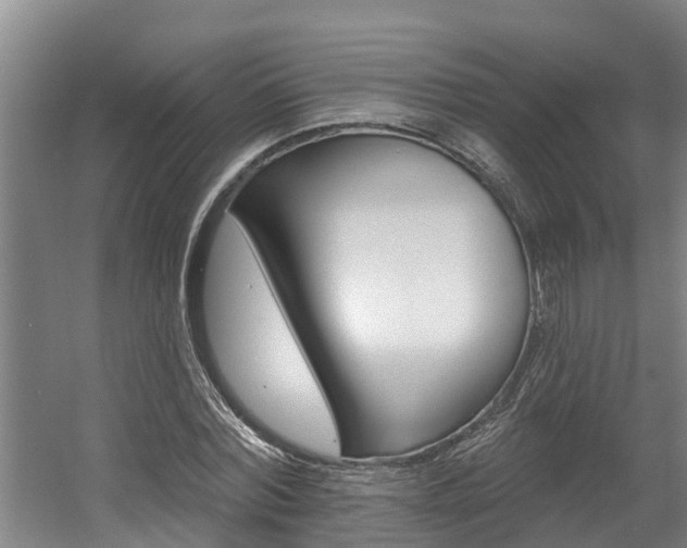 X0000057570780200509160835