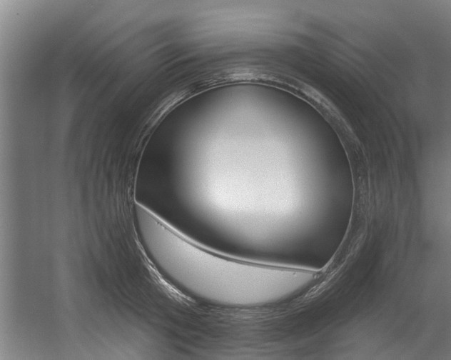 X0000057570801200509160835