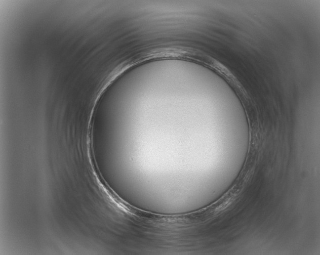 X0000057570802200509160835
