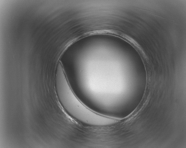 X0000057570809200509160835