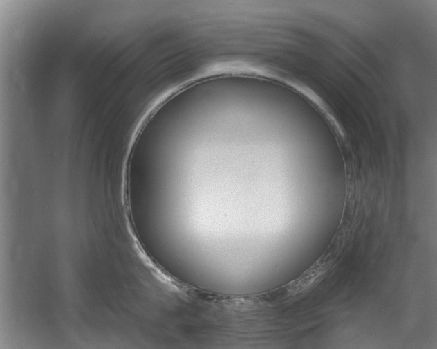 X0000057570815200509160835