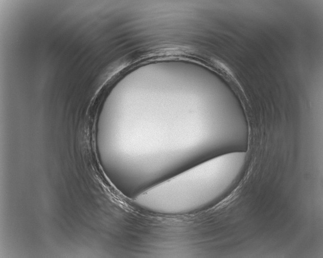 X0000057570827200509160834