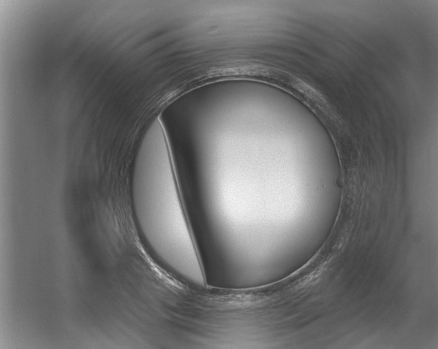 X0000057570841200509160834