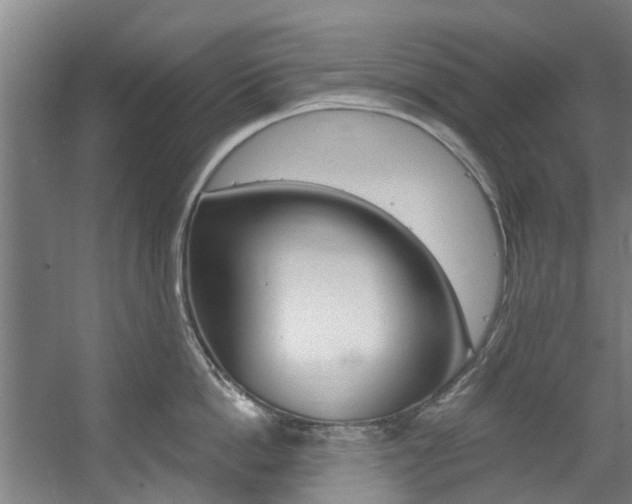 X0000057570862200509160835