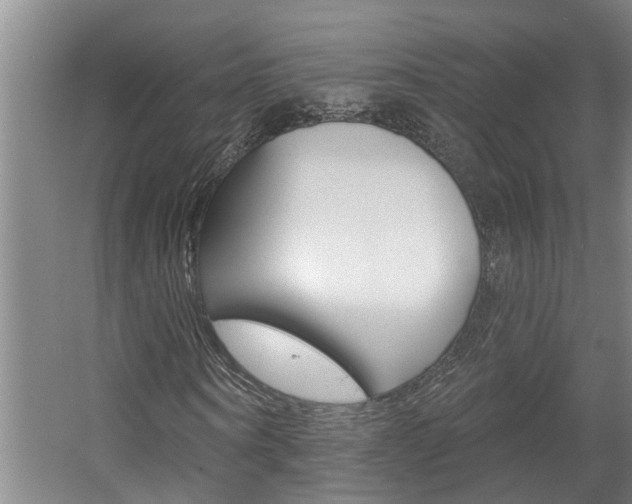 X0000057570866200509160834