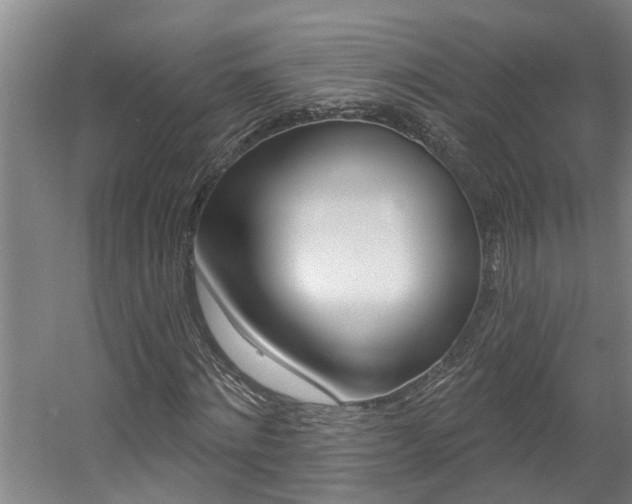 X0000057570868200509160834