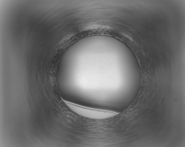 X0000057570869200509160834