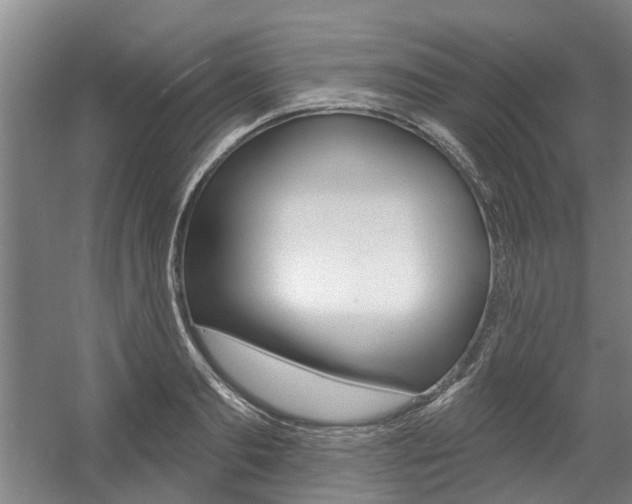 X0000057570893200509160833