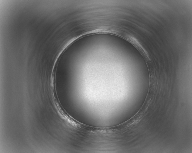 X0000057570900200509160833