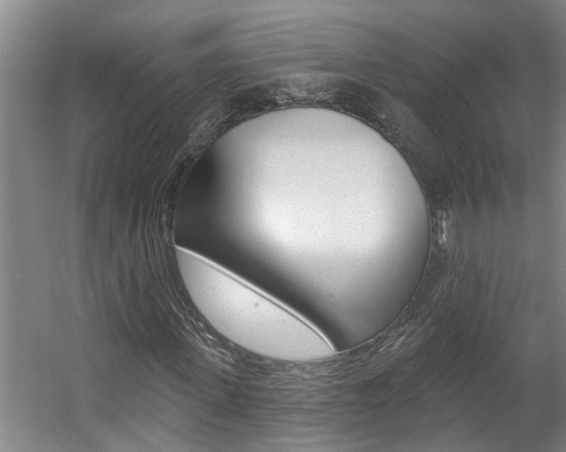 X0000057570915200509160832