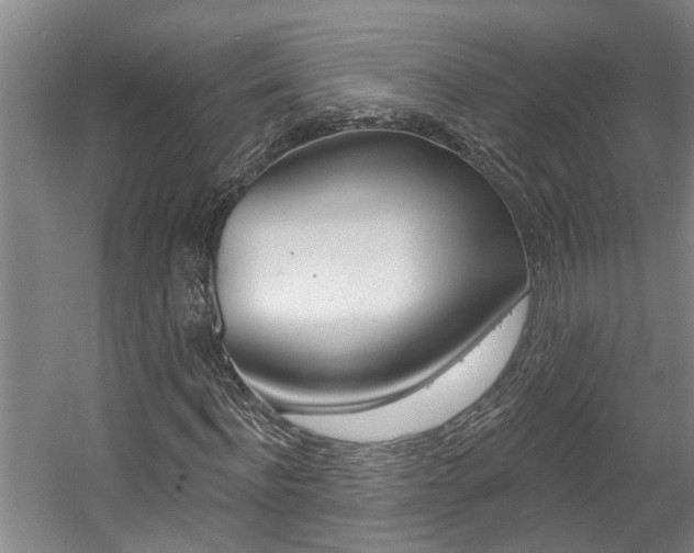 X0000057570916200509160832