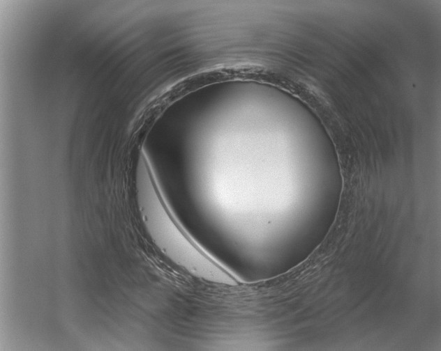 X0000057570920200509160832