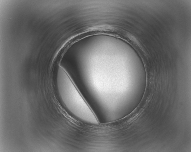 X0000057570923200509160832