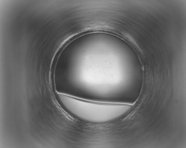 X0000057570932200509160832