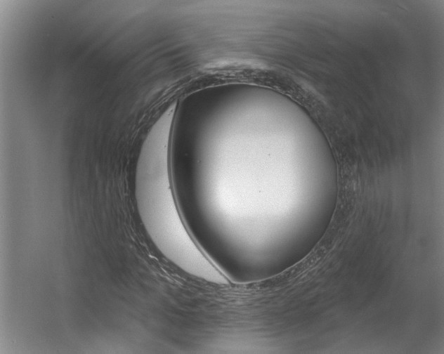 X0000057570965200509160832