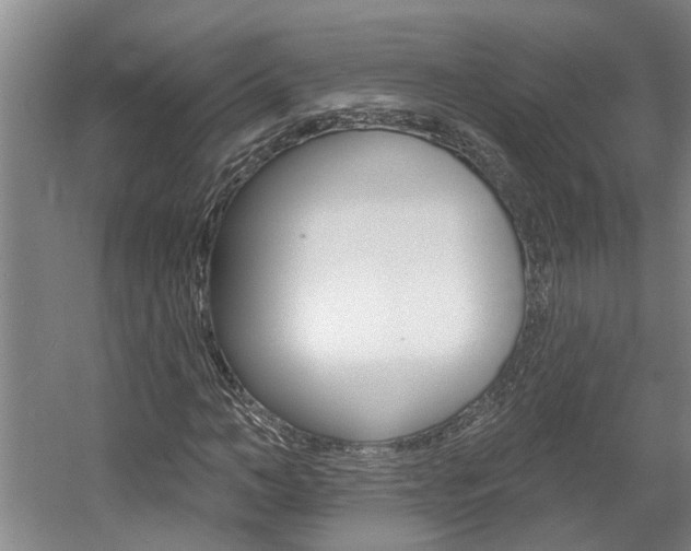 X0000057570966200509160832