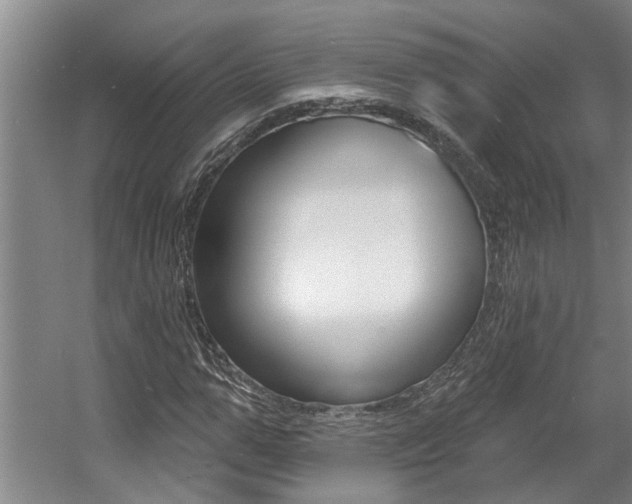 X0000057570967200509160832