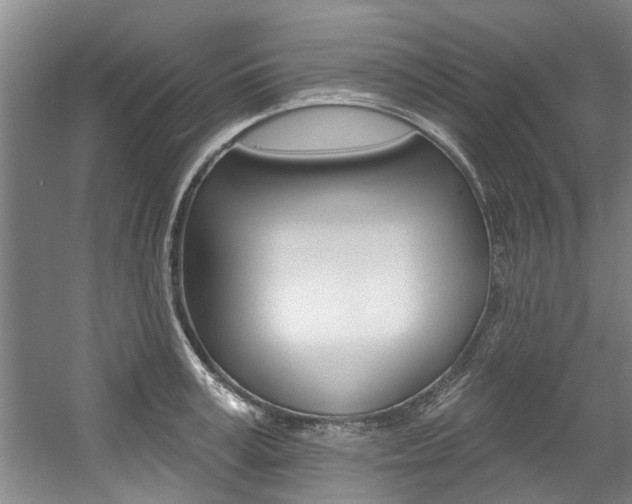 X0000057570995200509160832