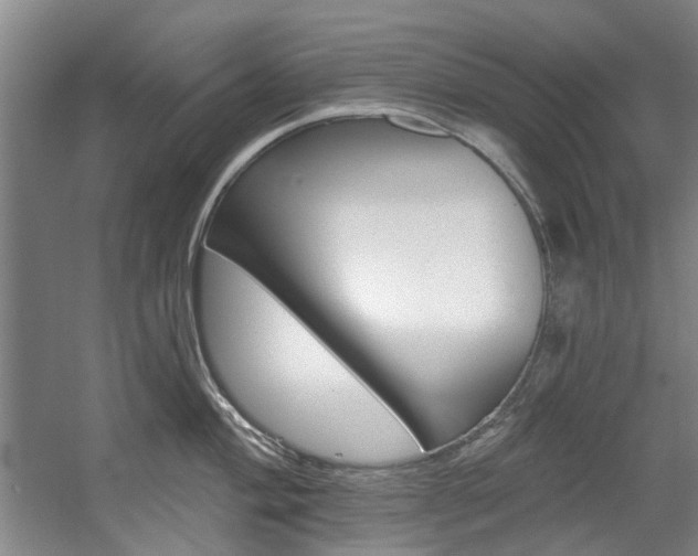 X0000057571004200509160831