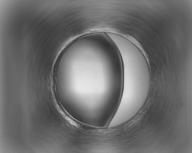 X0000057571005200509160831