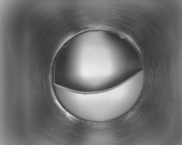 X0000057571007200509160831