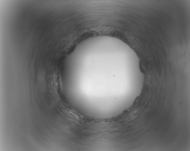 X0000057571010200509160831
