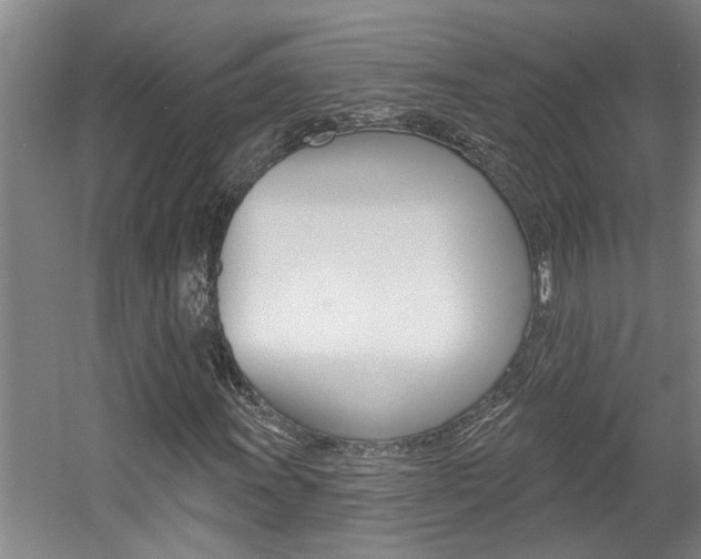 X0000057571011200509160831