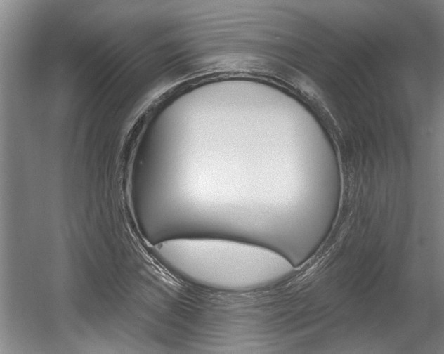 X0000057571019200509160831