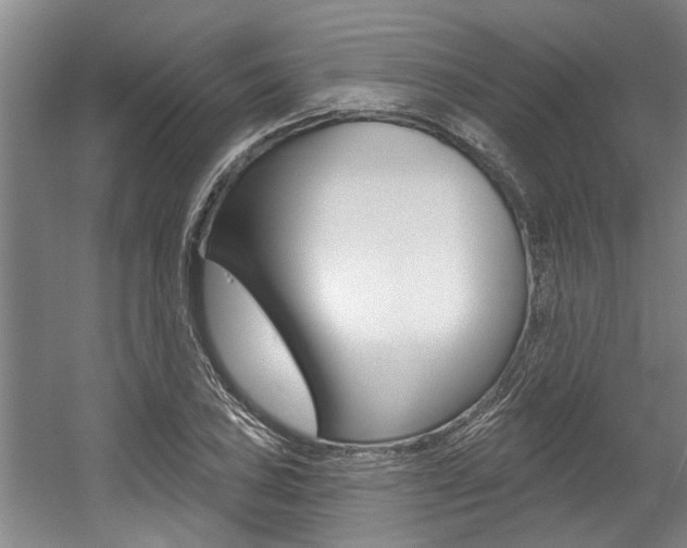 X0000057571027200509160831