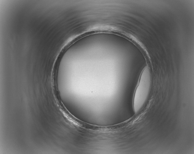 X0000057571037200509160831