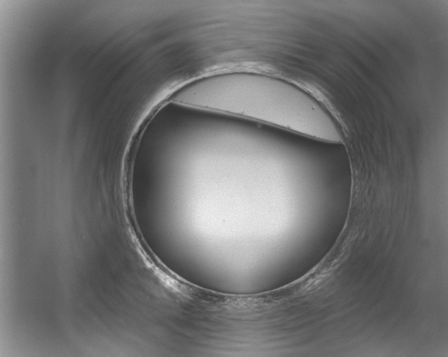 X0000057571046200509160831