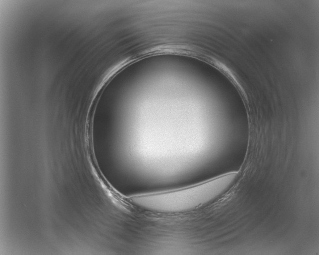 X0000057571050200509160831