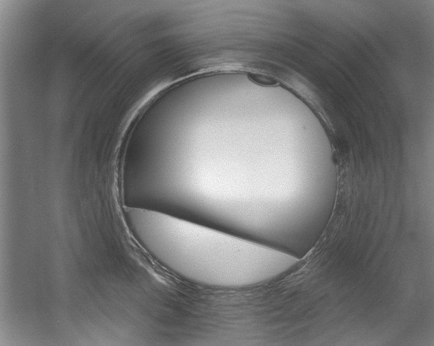 X0000057571051200509160831