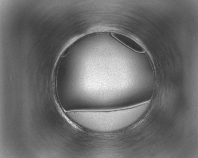 X0000057571053200509160831