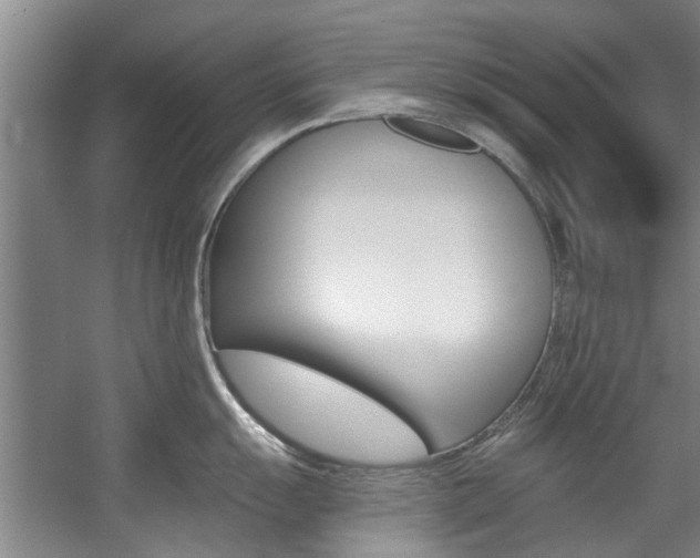 X0000057571055200509160831