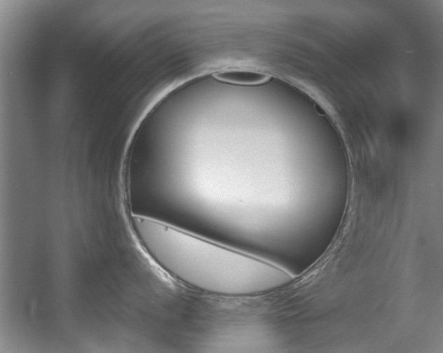 X0000057571056200509160831