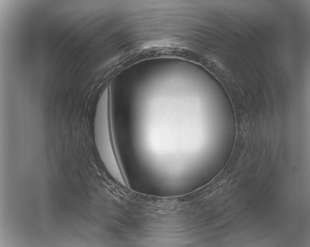 X0000057571062200509160830