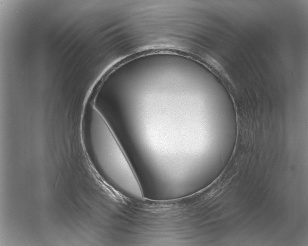 X0000057571076200509160830