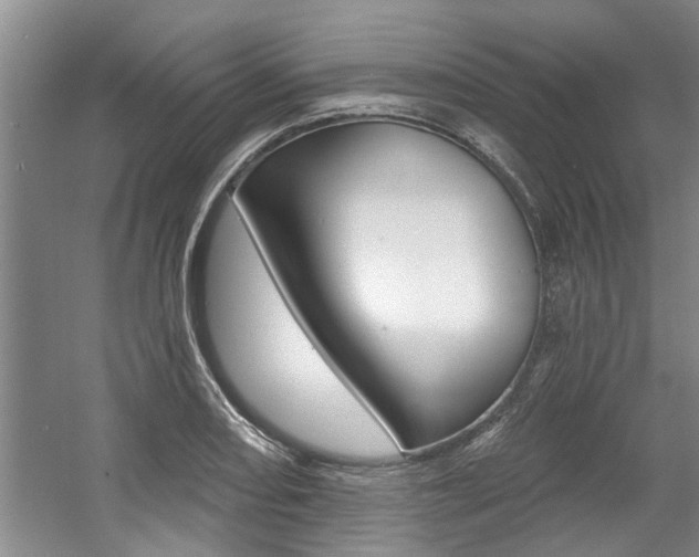 X0000057571082200509160830