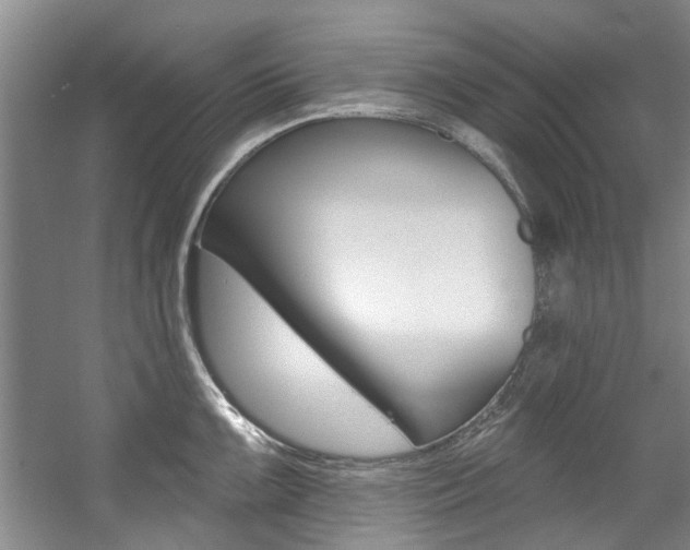 X0000057571099200509160830