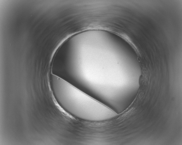 X0000057571100200509160830