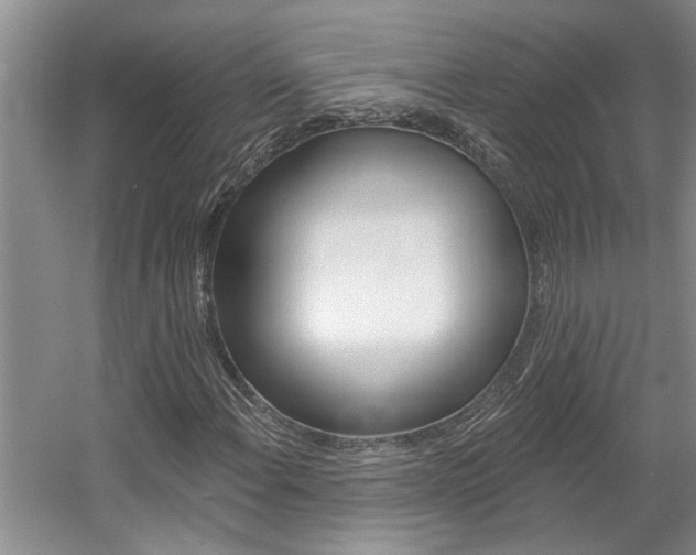 X0000057571108200509160829
