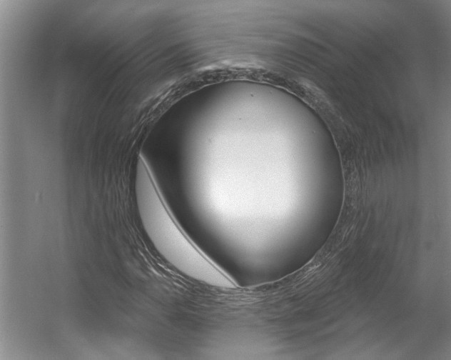 X0000057571110200509160829
