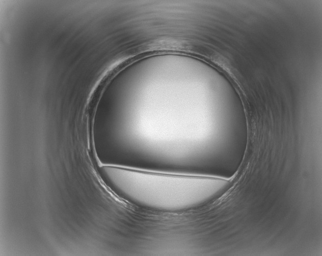 X0000057571123200509160829