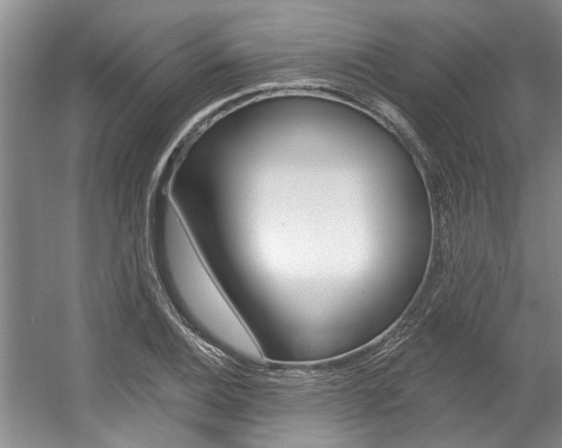 X0000057571124200509160829