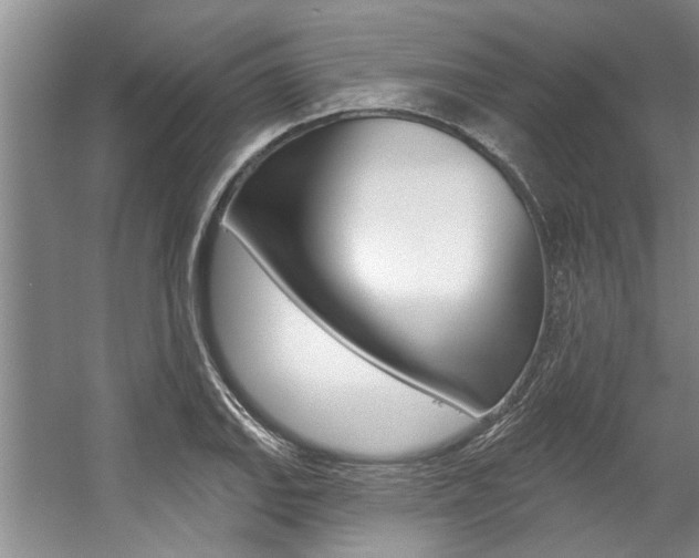 X0000057571127200509160829