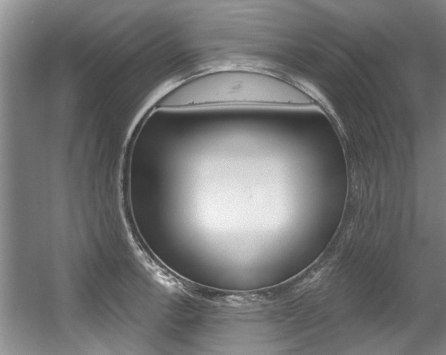 X0000057571138200509160829