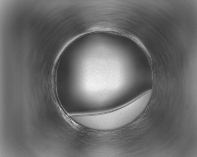 X0000057571148200509160830